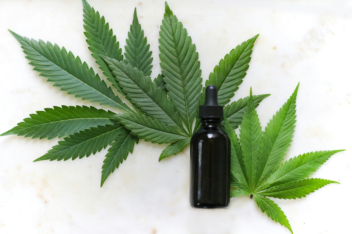 Hemp leaves and amber extract — the benefits of CBD, CBG, and CBN for a natural nightly wind-down