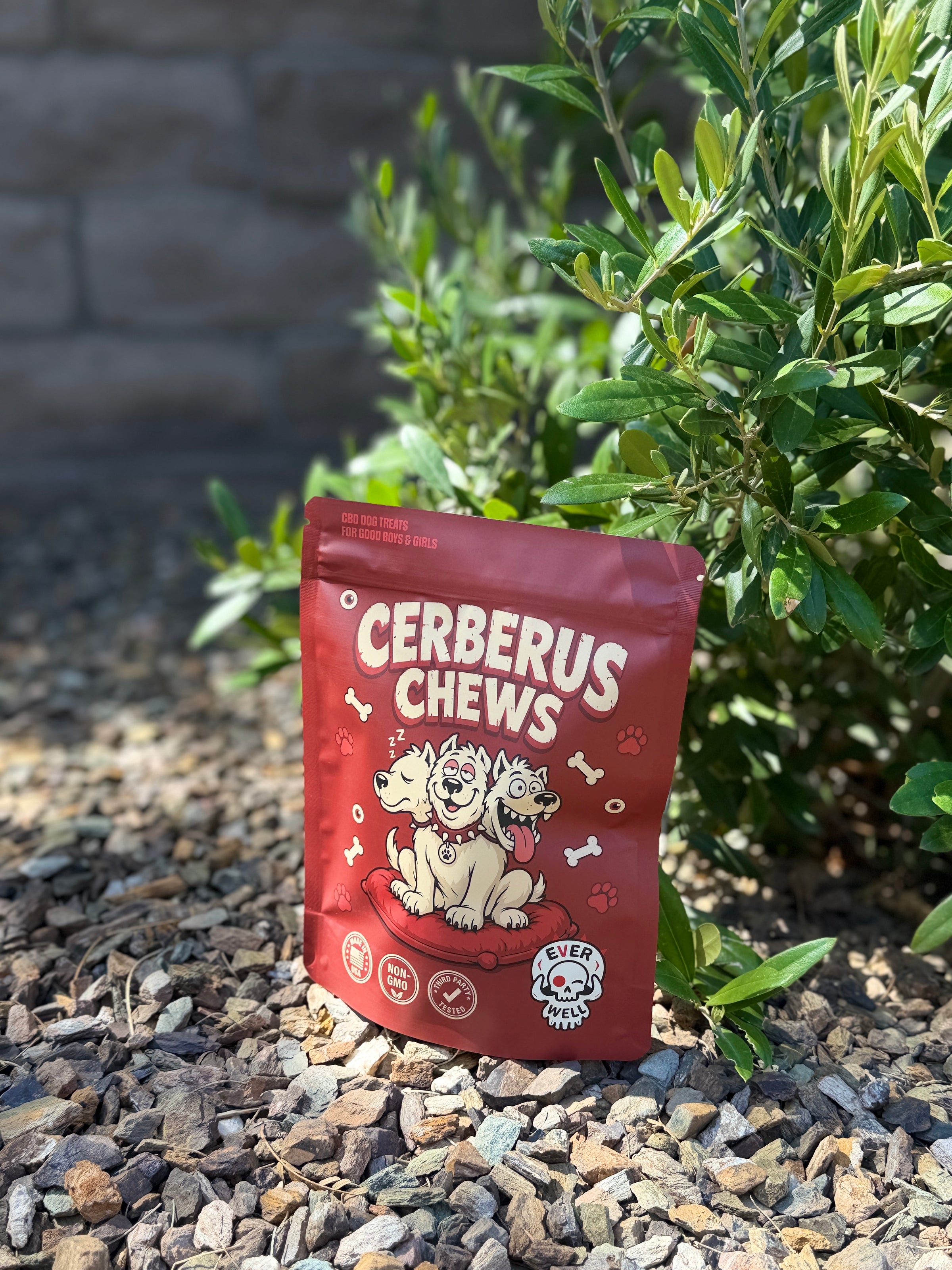 Cerberus Chews CBD dog treats bag in a desert garden