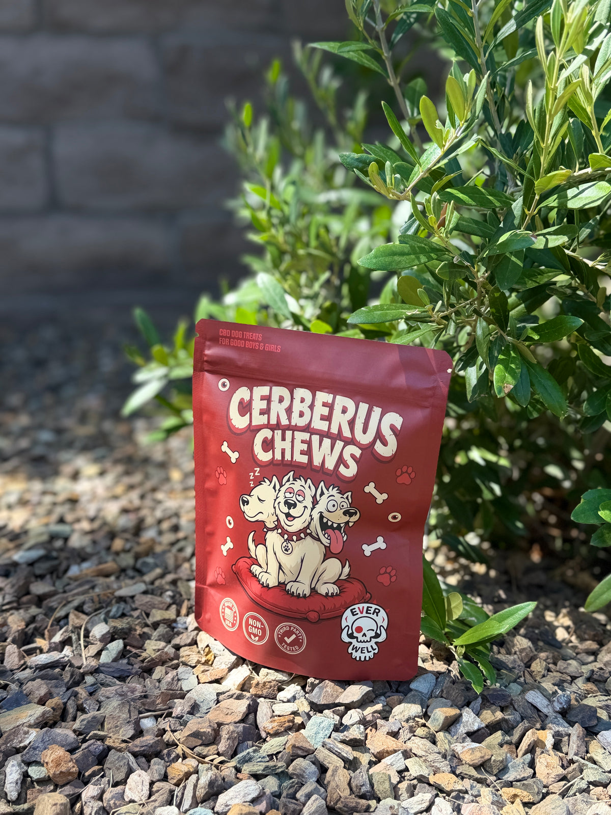 Cerberus Chews CBD dog treats bag in a desert garden